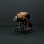 Tuck planche push ups