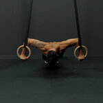 Bulgarian push-ups on rings