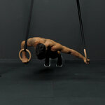 Archer push-ups on rings