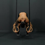 Pike push-ups on rings