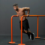 Isometric dips
