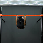 Raises tuck adv front lever