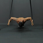 Bent arms ring flies