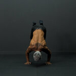 Tucked planche a pino brazos flexionados
